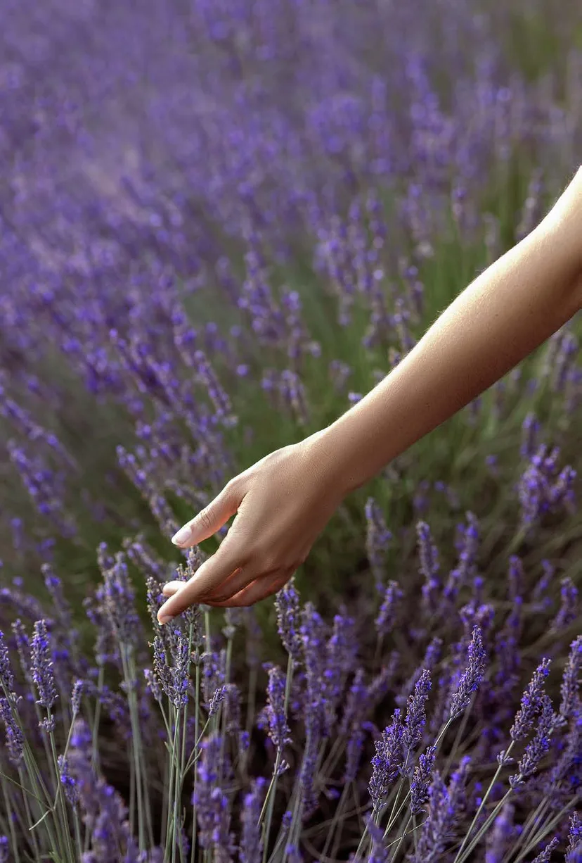 Lavender — Actimood® scent