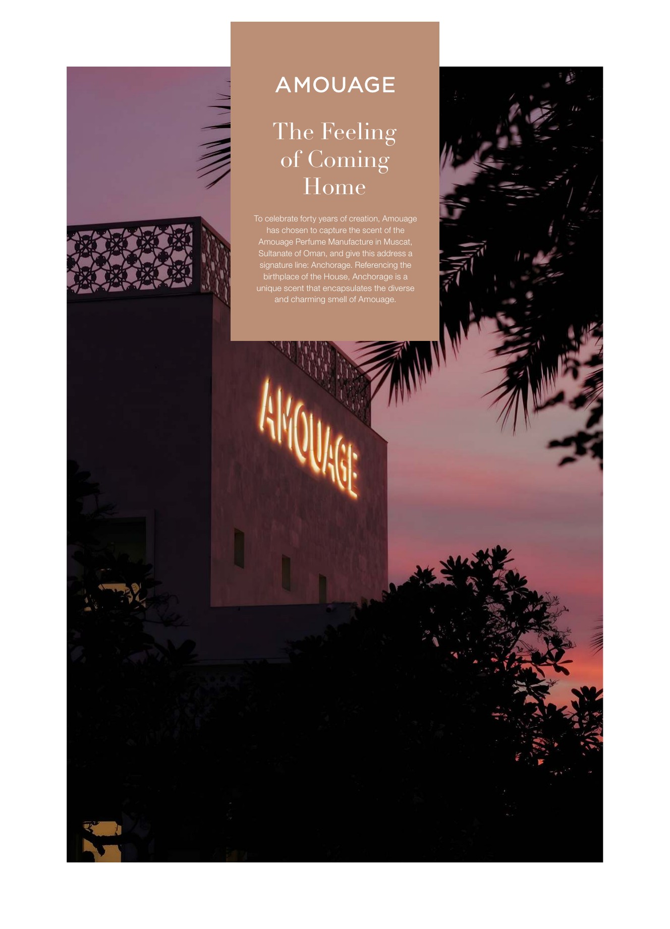 Amouage brand card — cover