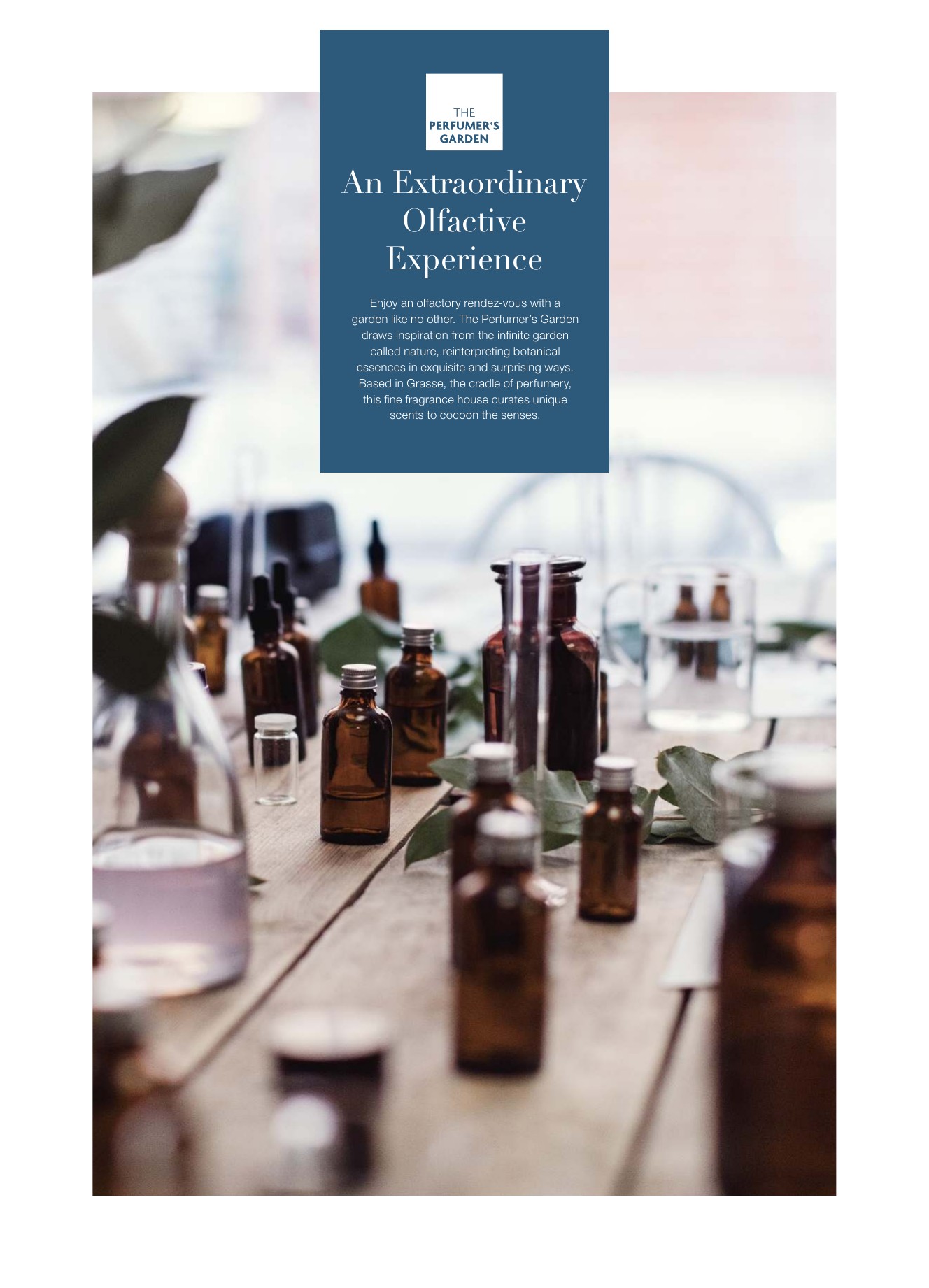 The Perfumer's Garden brand card — cover