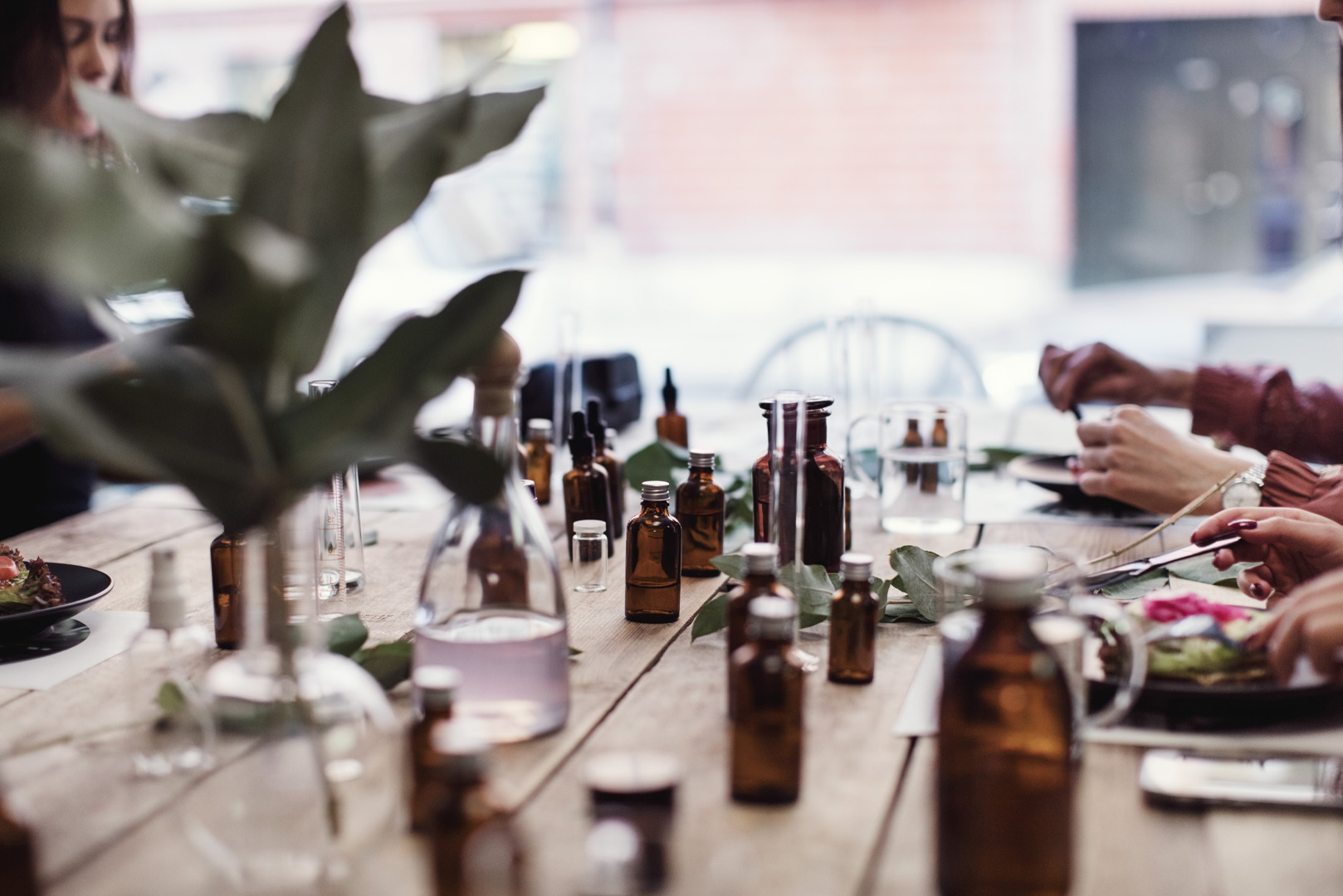 Perfume workshop: a table with essence bottles and plants